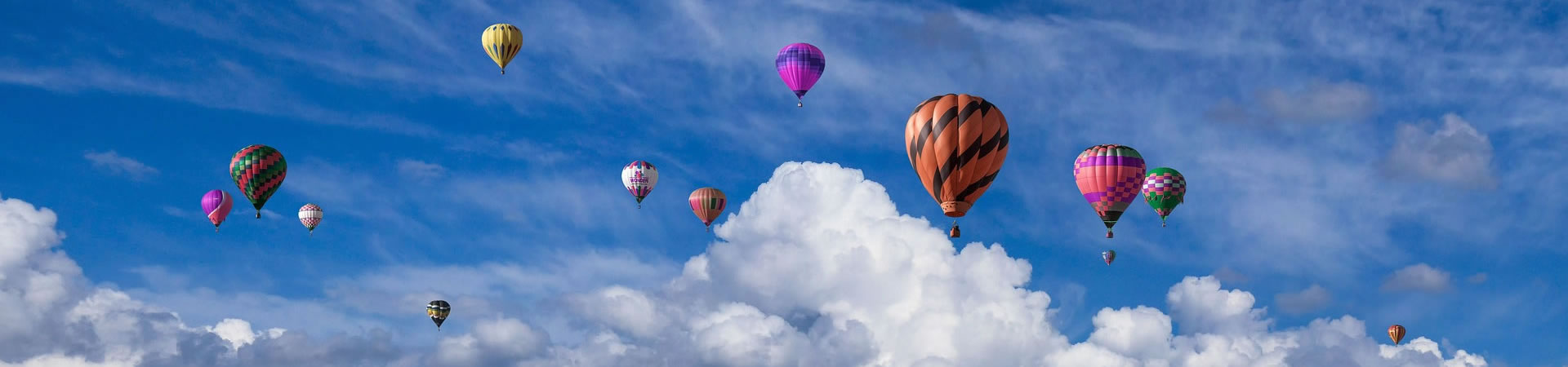 自学中医交流群